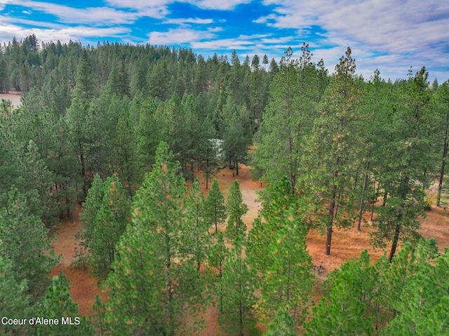 694 S Signal Point Rd, Post Falls, ID 83854 - drone / aerial view of a forest