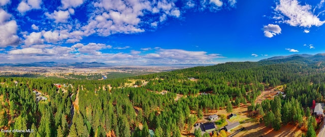 694 S Signal Point Rd, Post Falls, ID 83854 - view of mountain background with a heavily wooded area