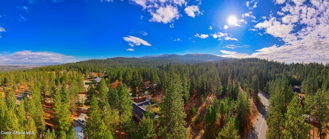 694 S Signal Point Rd, Post Falls, ID 83854 - view of mountain background with a heavily wooded area