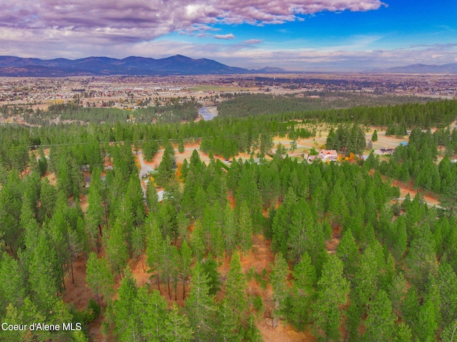 694 S Signal Point Rd, Post Falls, ID 83854 - aerial view of a mountain backdrop