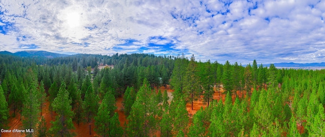 694 S Signal Point Rd, Post Falls, ID 83854 - view of mountain background with a forest