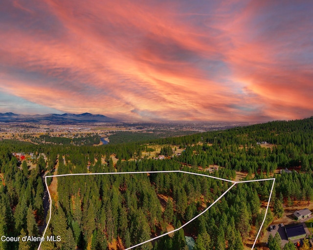 694 S Signal Point Rd, Post Falls, ID 83854 - view of mountain background featuring a heavily wooded area