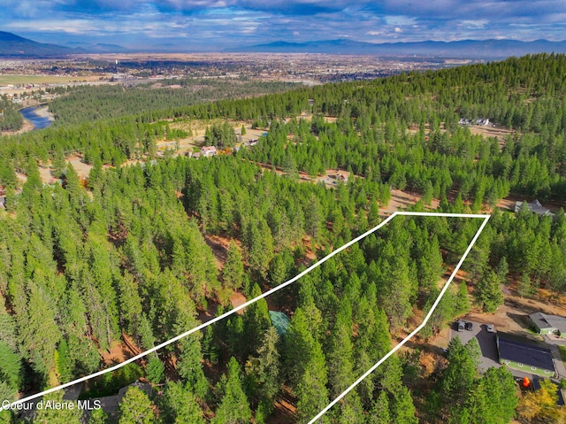 694 S Signal Point Rd, Post Falls, ID 83854 - aerial overview of property's location with property parcel outlined and mountains