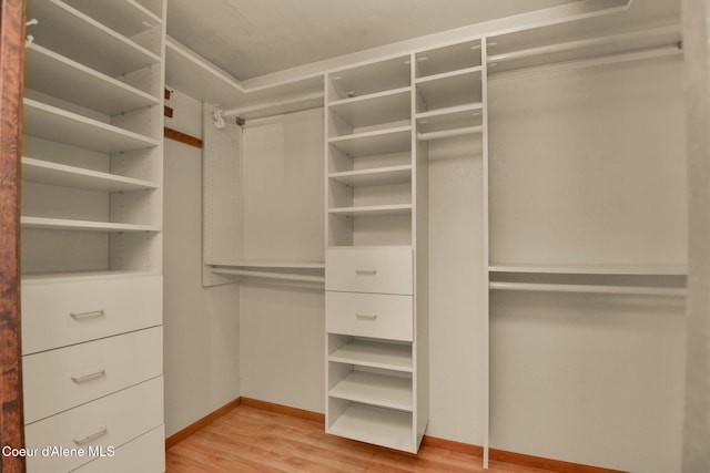 694 S Signal Point Rd, Post Falls, ID 83854 - spacious closet with light wood-type flooring