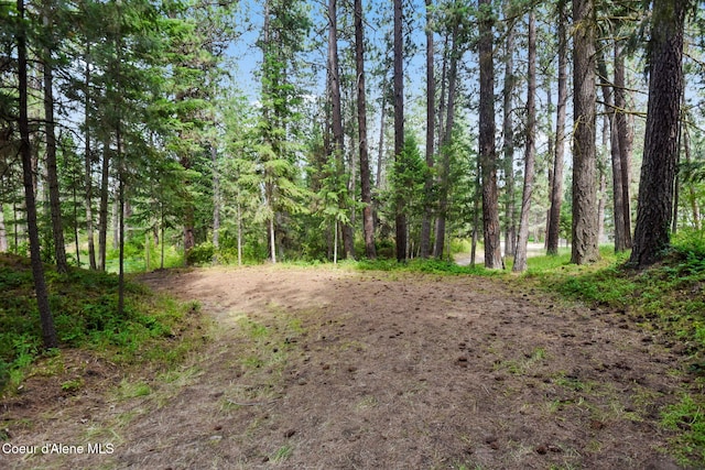 694 S Signal Point Rd, Post Falls, ID 83854 - view of woods