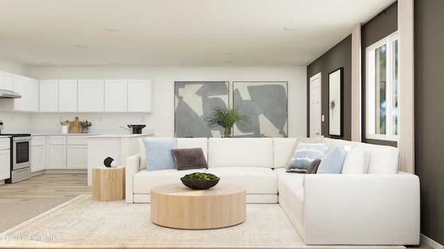 living room featuring light wood-type flooring