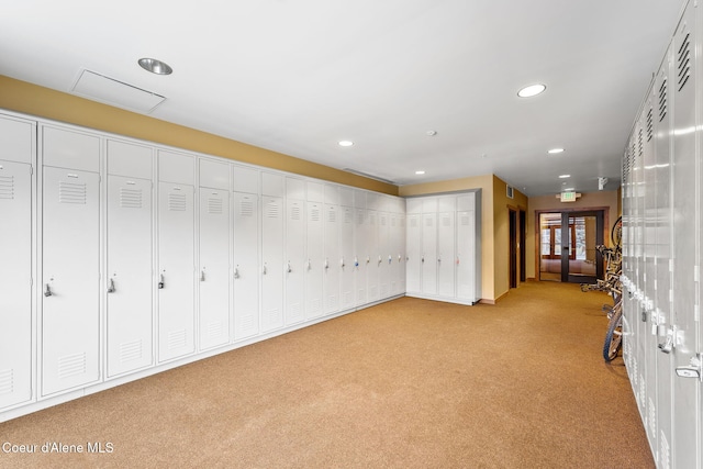 basement featuring light carpet