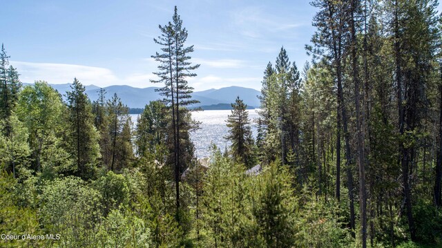 6825 W Lakeshore Rd, Priest Lake, ID 83856 - photo 11