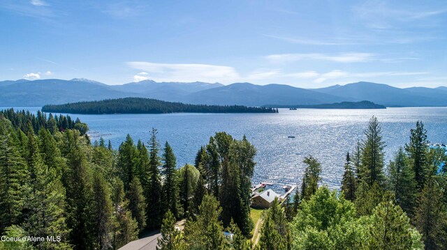 6825 W Lakeshore Rd, Priest Lake, ID 83856 - photo 12