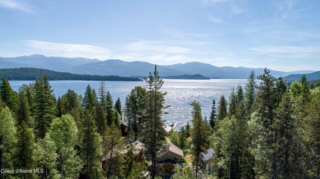 6825 W Lakeshore Rd, Priest Lake, ID 83856 - photo 14