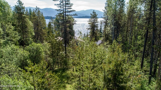 6825 W Lakeshore Rd, Priest Lake, ID 83856 - photo 15