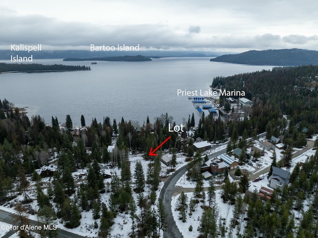 6825 W Lakeshore Rd, Priest Lake, ID 83856 - photo 9