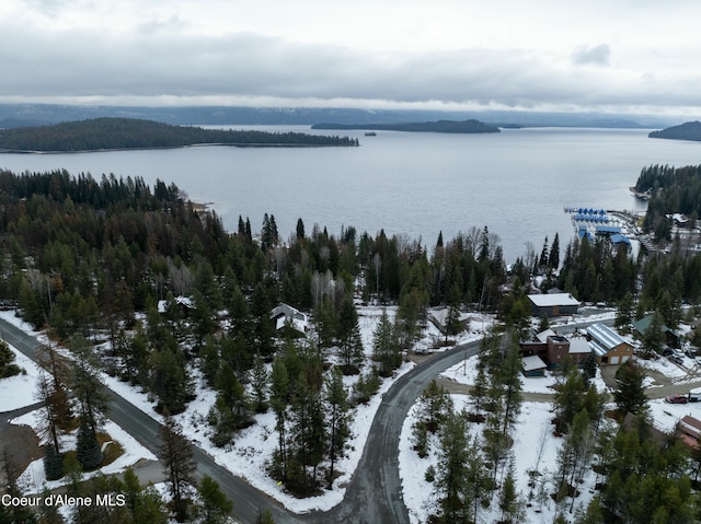 6825 W Lakeshore Rd, Priest Lake, ID 83856 - photo 8