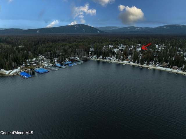 6825 W Lakeshore Rd, Priest Lake, ID 83856 - photo 16