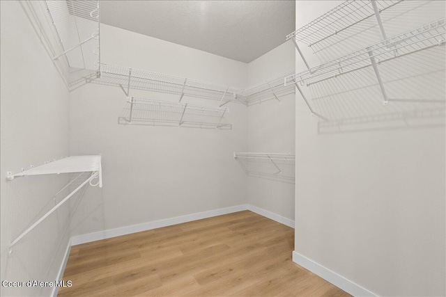 spacious closet featuring hardwood / wood-style flooring