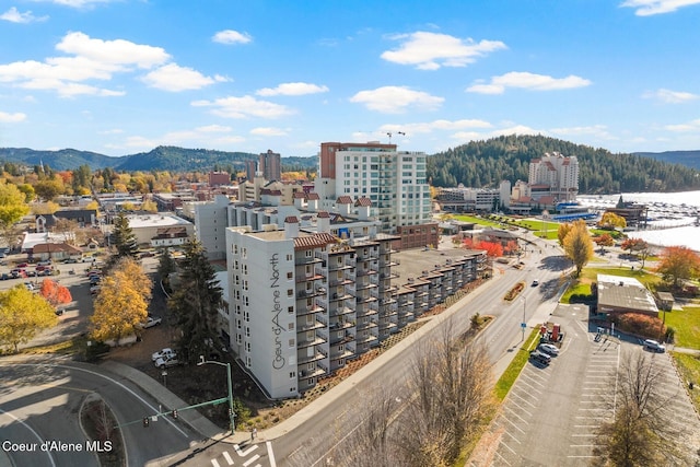 bird's eye view with a mountain view