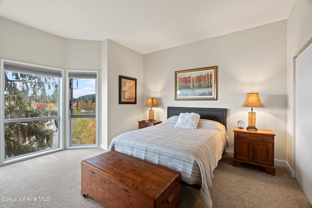 view of carpeted bedroom