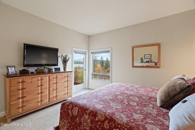 bedroom with access to exterior and carpet floors