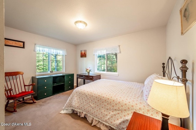 bedroom featuring carpet floors