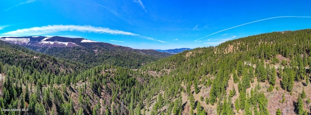 NNA Canary Creek Rd, Cataldo ID, 83810 land for sale