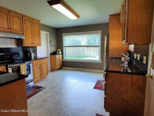 kitchen with stainless steel electric range and sink