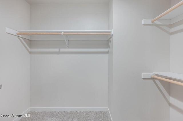 walk in closet with carpet flooring