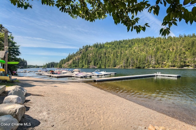 dock area with a water view