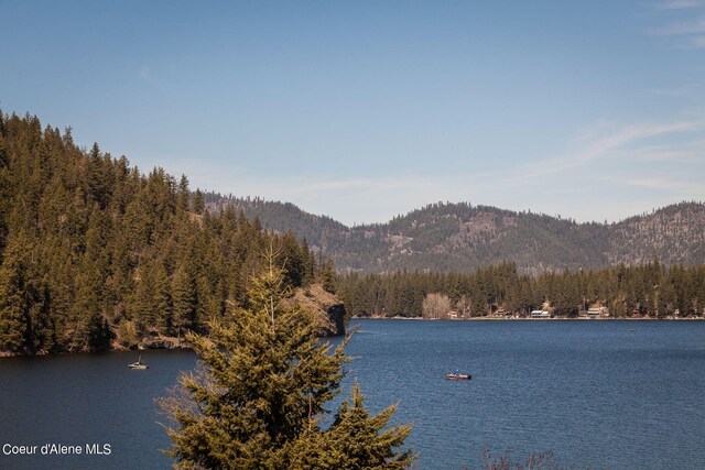 5299 W Green Ct # 5, Rathdrum, ID 83858 - water view with a heavily wooded area and a mountainous background