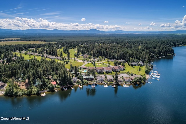 birds eye view of property with a water and mountain view