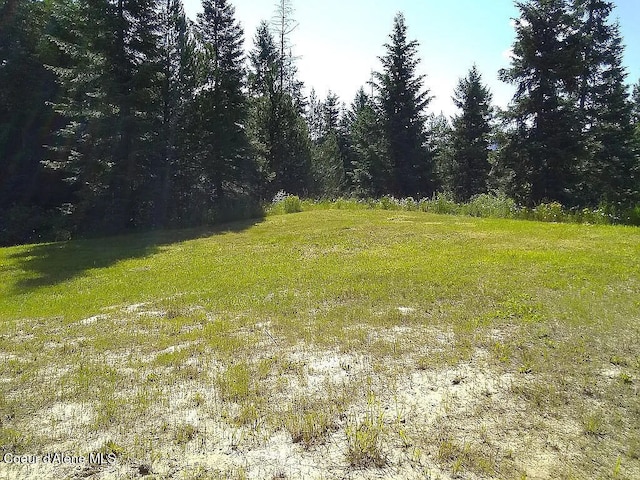 575 E Watertower Rd, Saint Maries ID, 83861 land for sale