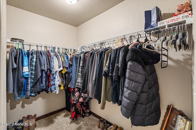 walk in closet with carpet flooring