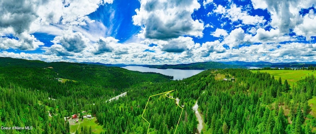 NKA1B S Skyview Rd, Harrison, ID 83833 - photo 1