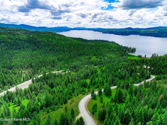 NKA1B S Skyview Rd, Harrison, ID 83833 - photo 4