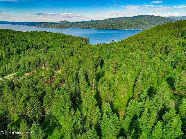 NKA1B S Skyview Rd, Harrison, ID 83833 - photo 6