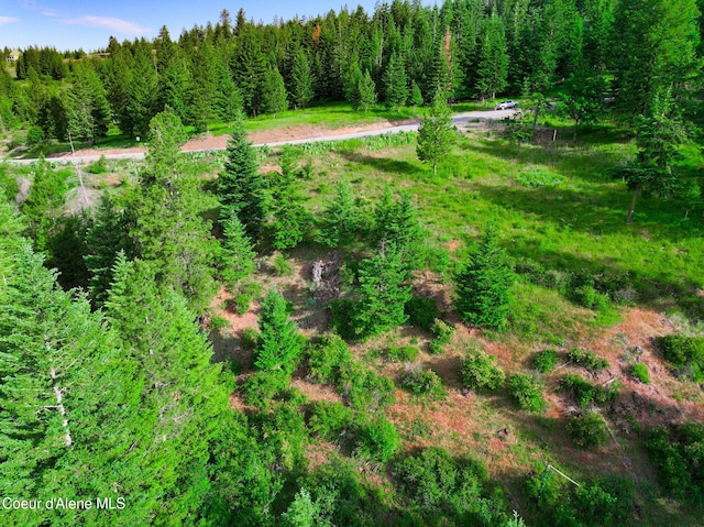 NKA1B S Skyview Rd, Harrison, ID 83833 - photo 9