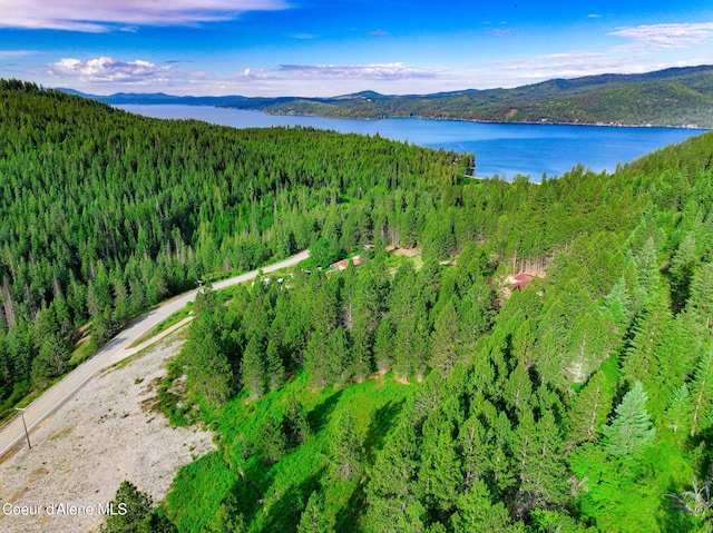 NKA1B S Skyview Rd, Harrison, ID 83833 - photo 12