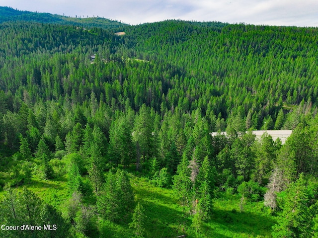 NKA1B S Skyview Rd, Harrison, ID 83833 - photo 13