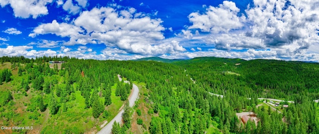 NKA1B S Skyview Rd, Harrison, ID 83833 - photo 16