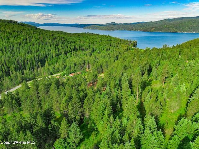 NKA1B S Skyview Rd, Harrison, ID 83833 - photo 3