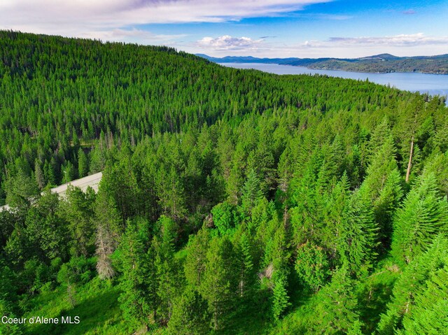 NKA1B S Skyview Rd, Harrison, ID 83833 - photo 17