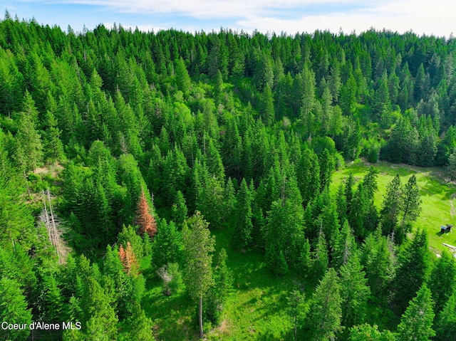 NKA1B S Skyview Rd, Harrison, ID 83833 - photo 19