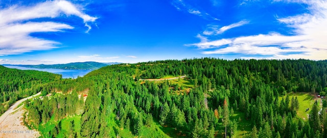 NKA1B S Skyview Rd, Harrison, ID 83833 - photo 2