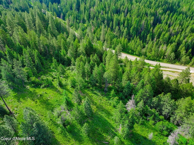 NKA1B S Skyview Rd, Harrison, ID 83833 - photo 20