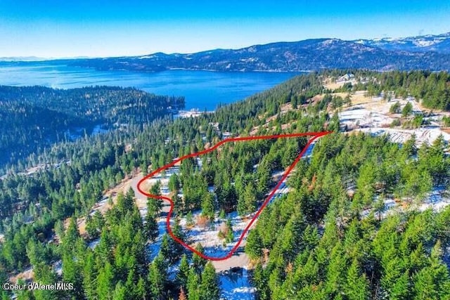 NKA1B S Skyview Rd, Harrison, ID 83833 - photo 21