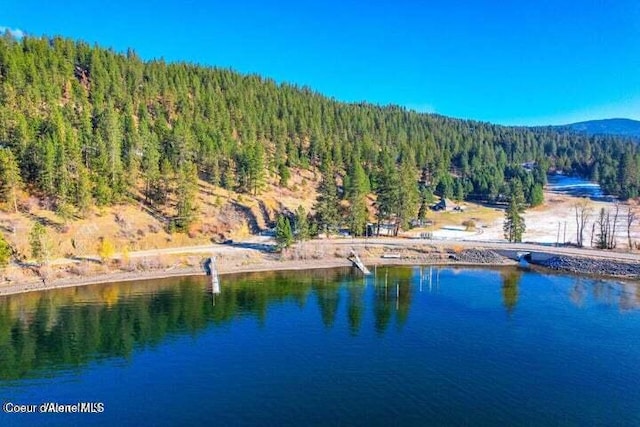 NKA1B S Skyview Rd, Harrison, ID 83833 - photo 26