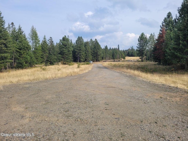 NKA1B S Skyview Rd, Harrison, ID 83833 - photo 23