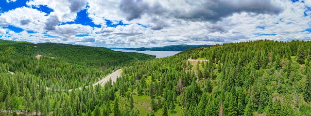 NKA S Skyview Rd, Harrison, ID 83833