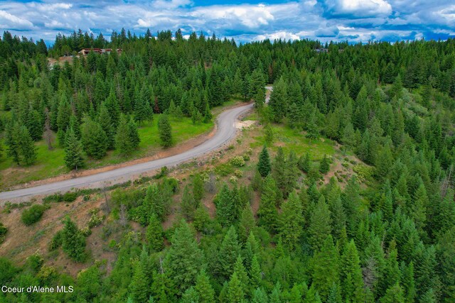 NKA S Skyview Rd, Harrison, ID 83833