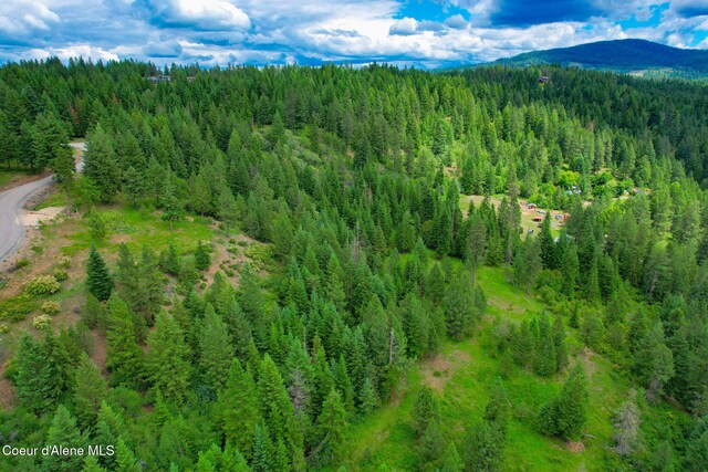 NKA S Skyview Rd, Harrison, ID 83833