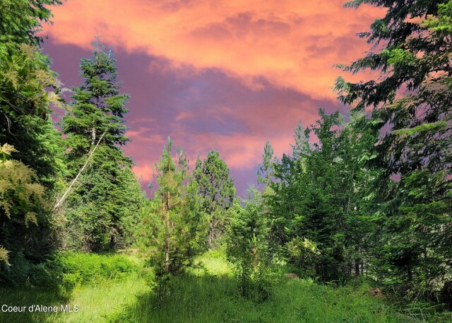 NKA S Skyview Rd, Harrison, ID 83833